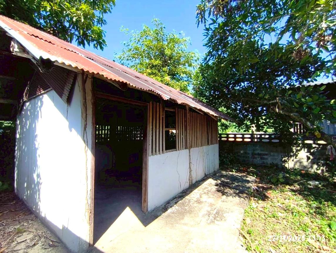 รูป บ้านเดี่ยว สำหรับขาย - ไม้ยา พญาเม็งราย เชียงราย - รูปที่ 45/54