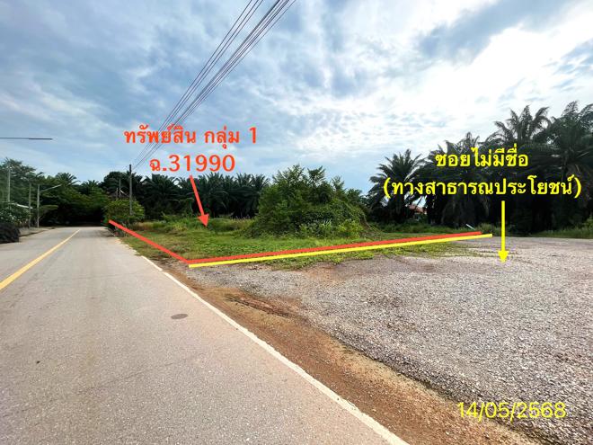 picture LAND for sale Thung Yao Palian Trang - 3/24