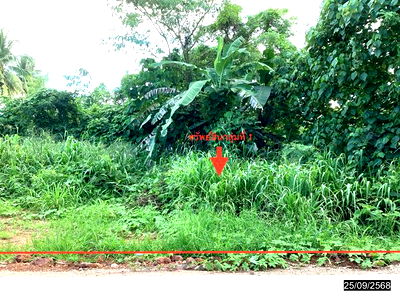 Land for sale Map ammarit Hospital : LAND for sale  Pak Nam Muang Chumphon Chumphon