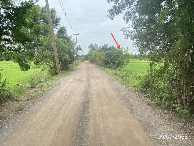 รูป ที่ดินว่างเปล่า สำหรับขาย - เกษตรวิสัย เกษตรวิสัย ร้อยเอ็ด - รูปที่ 4/24