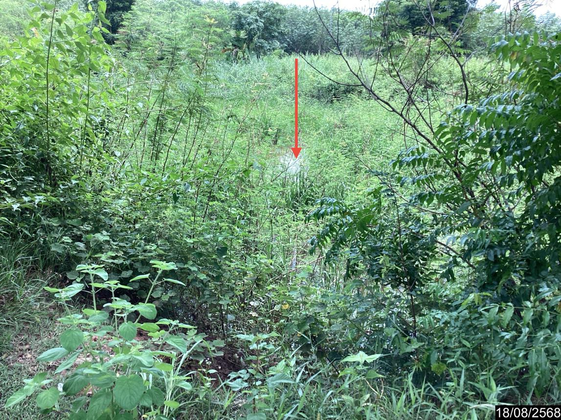 รูป ที่ดินว่างเปล่า สำหรับขาย - โนนสะอาด ศรีบุญเรือง หนองบัวลำภู - รูปที่ 18/24