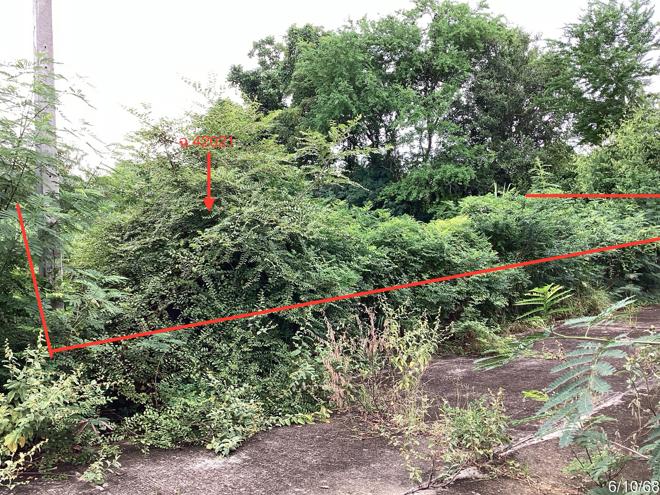 รูป ที่ดินว่างเปล่า สำหรับขาย กรีนปาร์ค หนองตาแต้ม ปราณบุรี ประจวบคีรีขันธ์ - รูปที่ 5/20