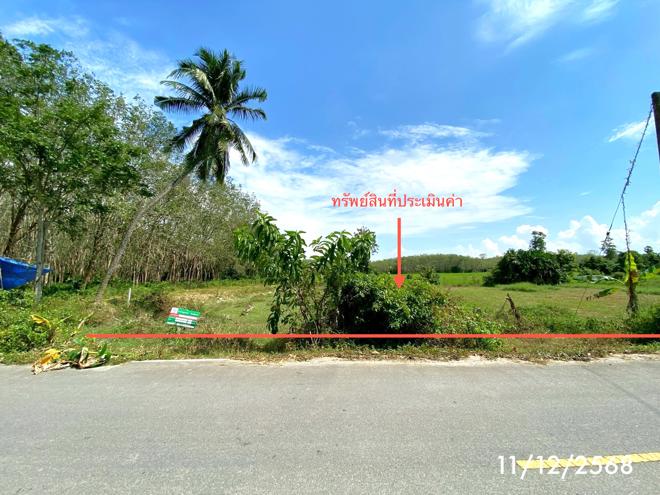 รูป ที่ดินว่างเปล่า สำหรับขาย - รัตภูมิ ควนเนียง สงขลา - รูปที่ 1/20