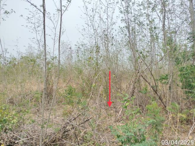 รูป ที่ดินว่างเปล่า สำหรับขาย วังแก้ว ปาร์คฮิลล์ รีสอร์ท วังม่วง วังม่วง สระบุรี - รูปที่ 4/20