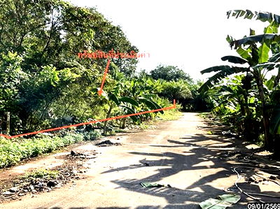 Land for sale Nakhon Sri Thammarat : LAND for sale  Ban Lamnao Bang Khan Nakhon Sri Thammarat