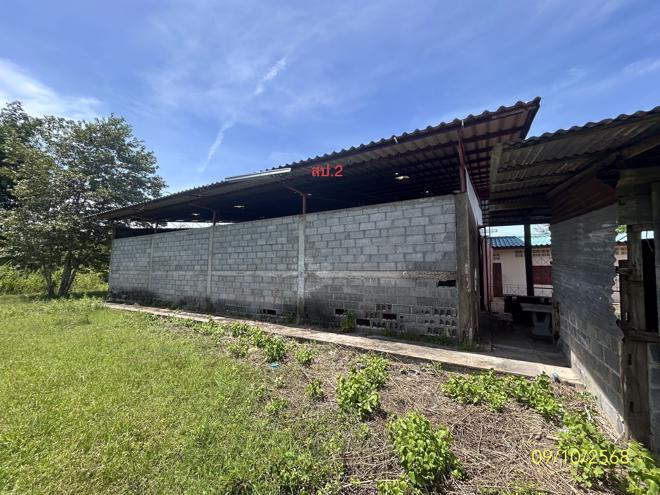 picture FACTORY for sale  Tat Thong Muang Ya Sothon Yasothon - 2/36