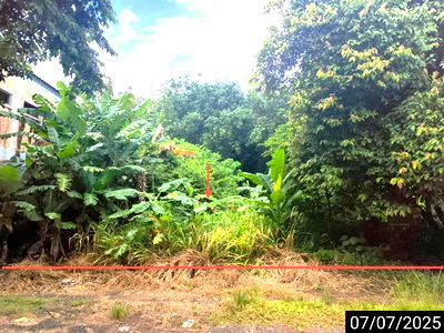 Land for sale Surat Thani : LAND for sale  Khunthale Muang Surat Thani Surat Thani