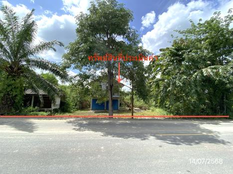 รูป บ้านเดี่ยว สำหรับขาย - แก้วแสน นาบอน นครศรีธรรมราช - รูปที่ 23/26