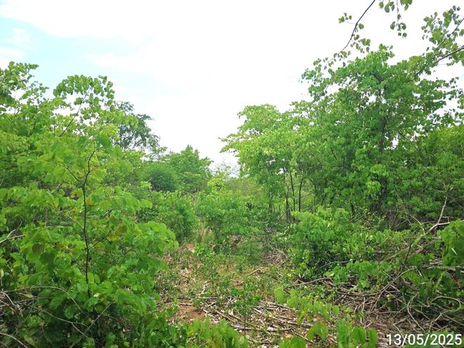 รูป ที่ดินว่างเปล่า สำหรับขาย เขาค้อแกรนด์วิลล์ นางั่ว เมืองเพชรบูรณ์ เพชรบูรณ์ - รูปที่ 5/14