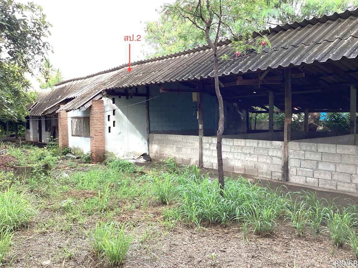 รูป โกดัง สำหรับขาย - ไร่ใหม่พัฒนา ชะอำ เพชรบุรี - รูปที่ 29/36