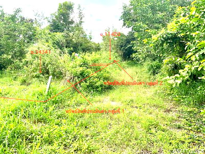 ที่ดินว่างเปล่า 308 ตร.วา ปราณบุรี ประจวบคีรีขันธ์ 1.2M