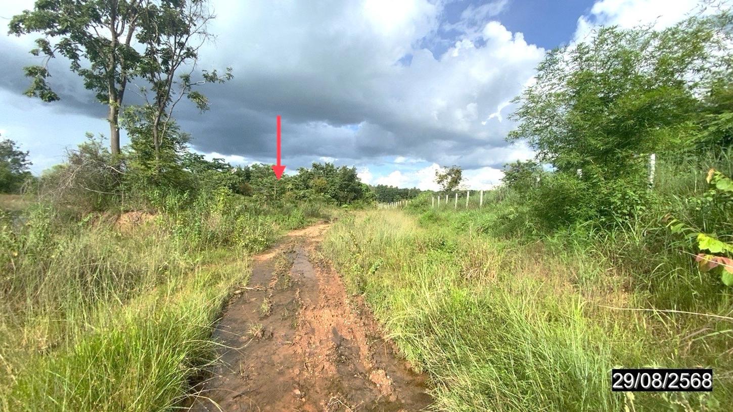 รูป ที่ดินว่างเปล่า สำหรับขาย - หนองบัว เมืองหนองบัวลำภู หนองบัวลำภู - รูปที่ 8/16