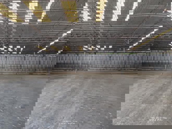 picture FACTORY for sale Tha Phon Muang Phetchabun Phetchabun - 7/24