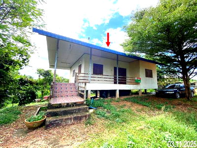 Houses for sale Uttaradit : HOME for sale  Wang Din Muang Uttaradit Uttaradit