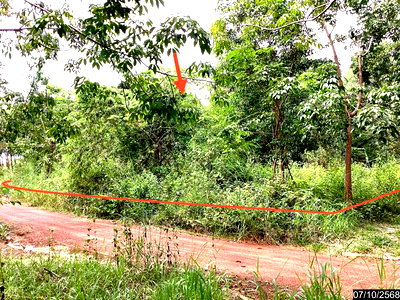 Land for sale : LAND for sale  Kham Kaeo null Nongkai