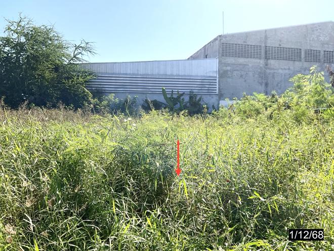 รูป ที่ดินว่างเปล่า สำหรับขาย - ชุมแพ ชุมแพ ขอนแก่น - รูปที่ 4/14