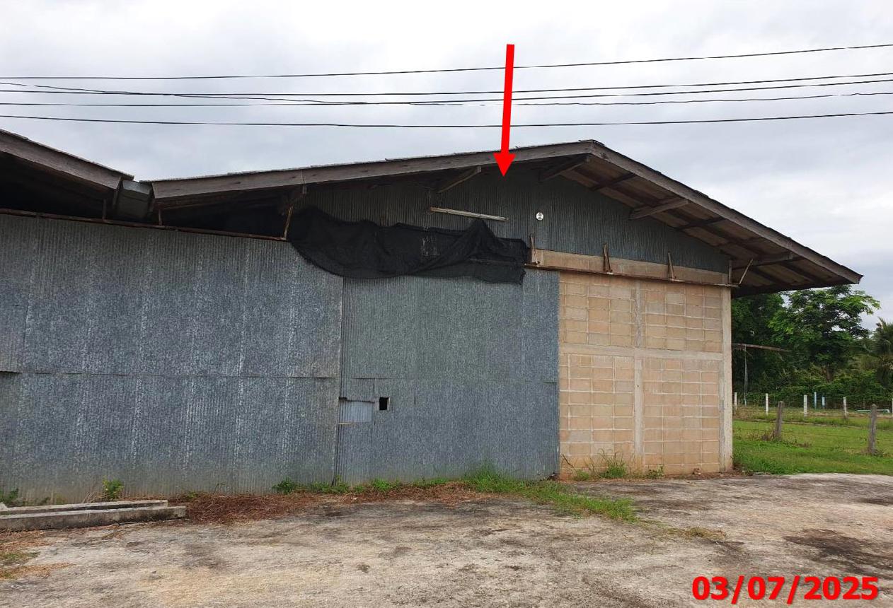 picture HOME for sale  Nam Cho Mae Tha Lamphang - 30/40