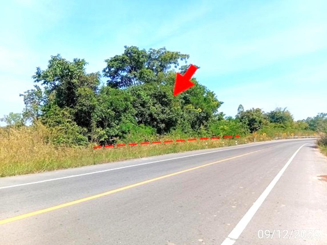 รูป ที่ดินว่างเปล่า สำหรับขาย - หนองเม็ก หนองหาน อุดรธานี - รูปที่ 6/14