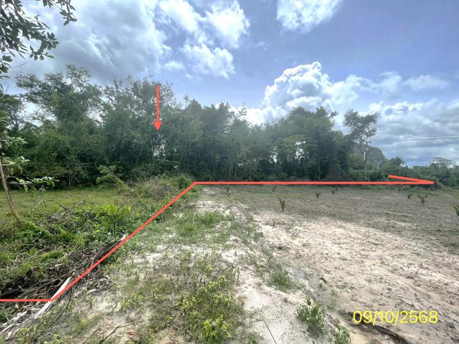 รูป ที่ดินว่างเปล่า สำหรับขาย - คูหาใต้ รัตภูมิ สงขลา - รูปที่ 4/30