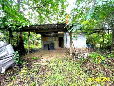 Houses for sale : HOME for sale  Tha Khae Muang Phatthalung Phatthalung