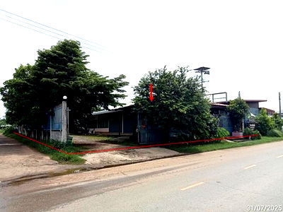 บ้านเดี่ยว นครราชสีมา (โคราช) : บ้านเดี่ยว สำหรับขาย - ตลาดไทร ชุมพวง นครราชสีมา