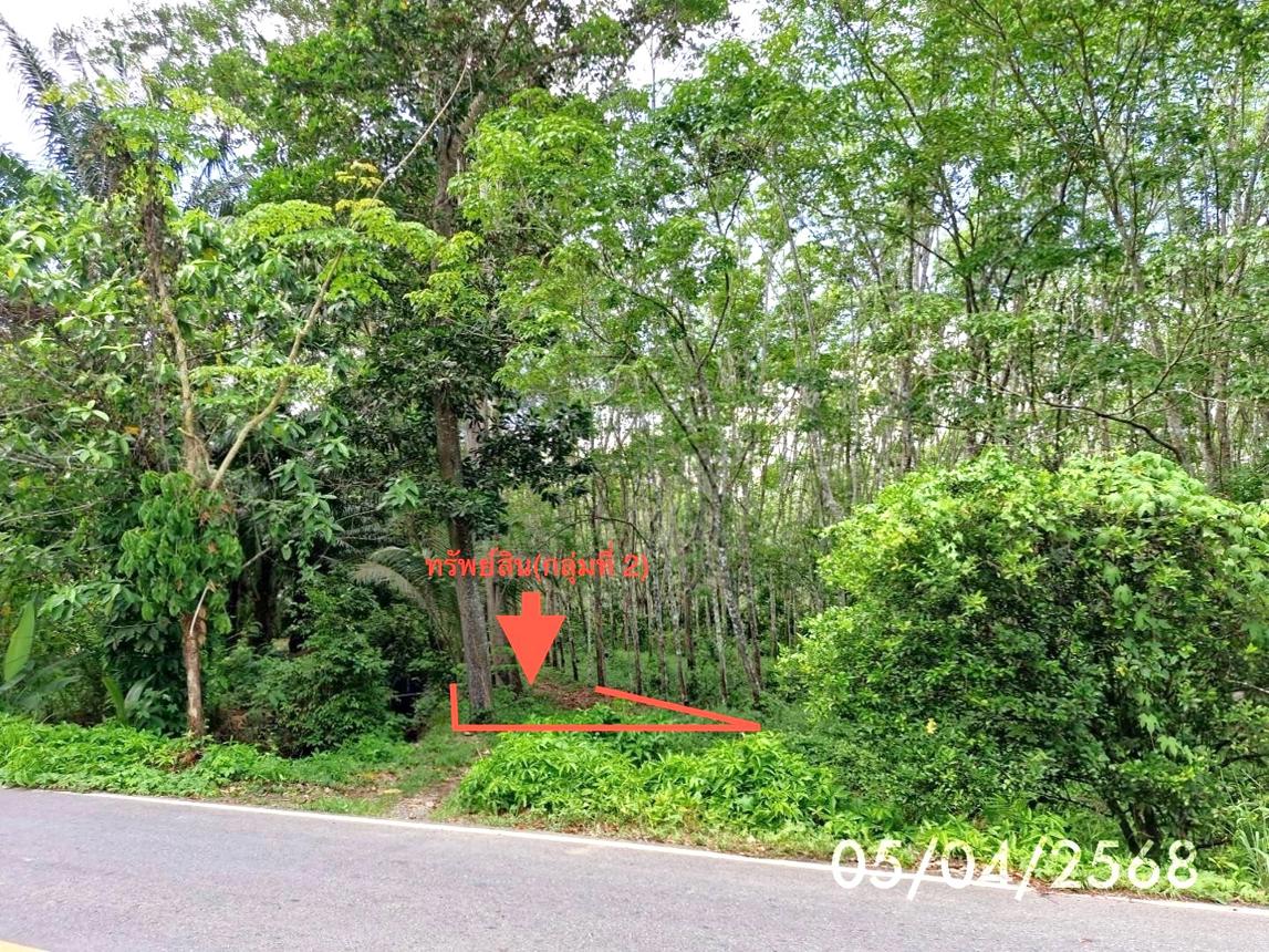 รูป ที่ดินว่างเปล่า สำหรับขาย - เขาโร ทุ่งสง นครศรีธรรมราช - รูปที่ 18/24