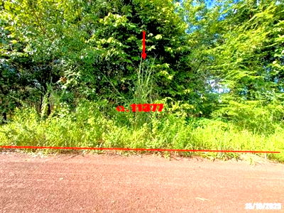 Land for sale Kut Chap Udon Thani : LAND for sale  Khon Yung Kut Chap Udon Thani