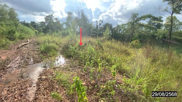 รูป ที่ดินว่างเปล่า สำหรับขาย - หนองบัว เมืองหนองบัวลำภู หนองบัวลำภู - รูปที่ 13/16