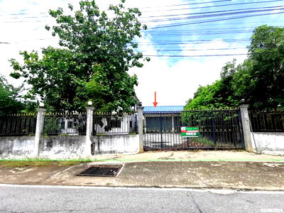 บ้านเดี่ยว สำหรับขาย - เขาพระ เดิมบางนางบวช สุพรรณบุรี