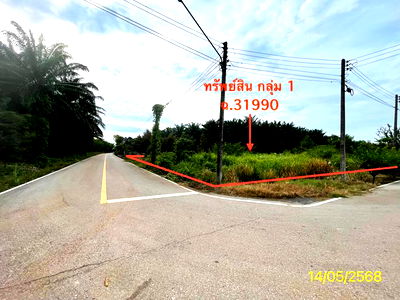 Land for sale Trang : LAND for sale  Thung Yao Palian Trang