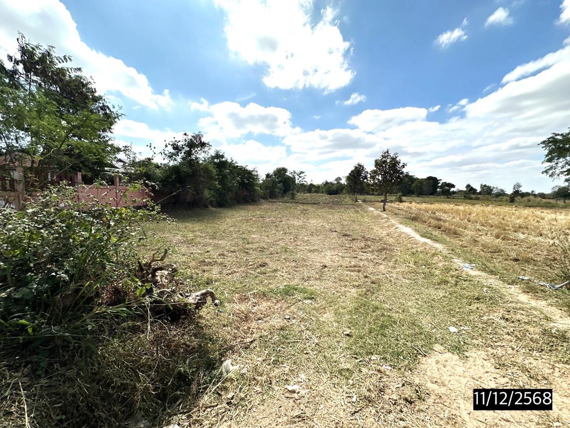 picture LAND for sale  Bua Daeng Pathumrat Roi Et - 8/14