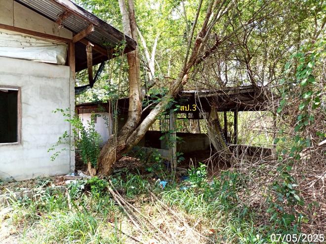 รูป บ้านเดี่ยว สำหรับขาย - กุดรัง กุดรัง มหาสารคาม - รูปที่ 15/44