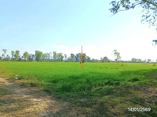 รูป ที่ดินว่างเปล่า สำหรับขาย - ลอ จุน พะเยา - รูปที่ 6/20