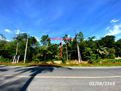 ที่ดิน กงหรา พัทลุง : ที่ดินว่างเปล่า สำหรับขาย - คลองทรายขาว กงหรา พัทลุง