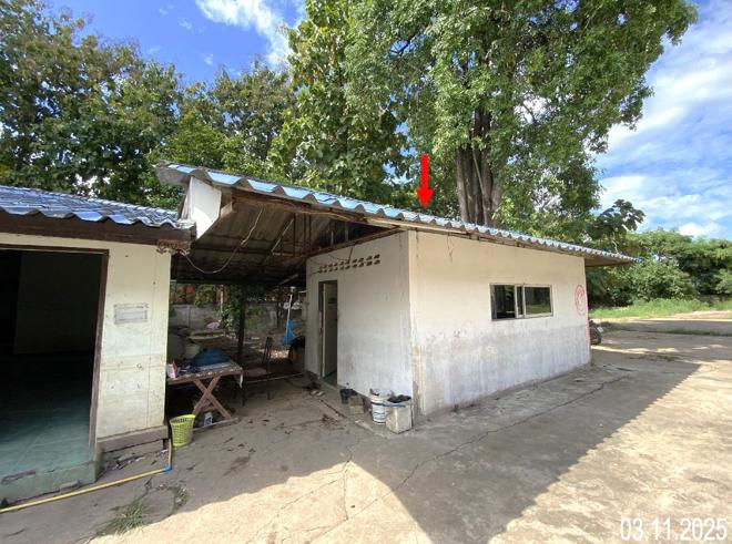 picture FACTORY for sale  Nam Ang Tron Uttaradit - 12/36