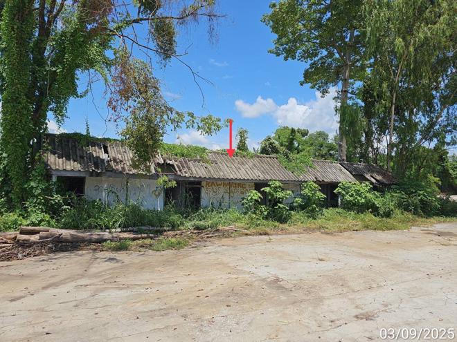 รูป โกดัง สำหรับขาย - ประดาง วังเจ้า ตาก - รูปที่ 16/42