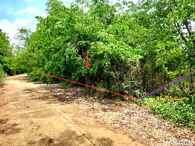 ที่ดินว่างเปล่า สำหรับขาย เขาค้อแกรนด์วิลล์ นางั่ว เมืองเพชรบูรณ์ เพชรบูรณ์