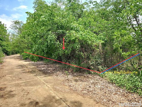 LAND for sale  Tha Phon Muang Phetchabun Phetchabun