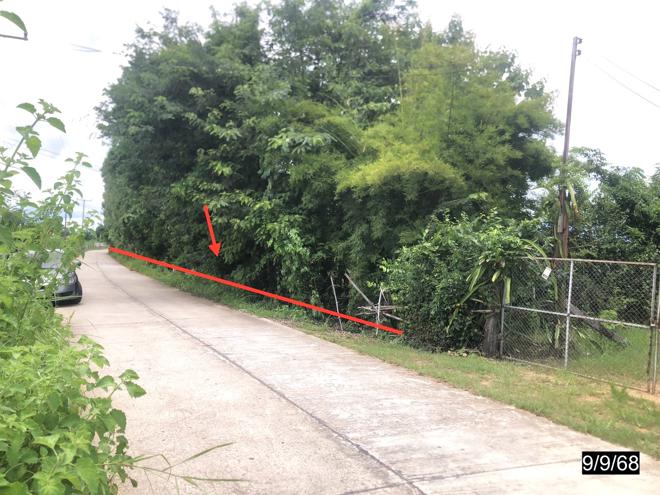 รูป บ้านเดี่ยว สำหรับขาย - กวางโจน ภูเขียว ชัยภูมิ - รูปที่ 20/44