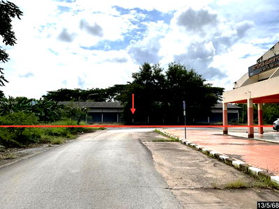 โรงงาน ภูเขียว ชัยภูมิ : โกดัง สำหรับขาย - ผักปัง ภูเขียว ชัยภูมิ