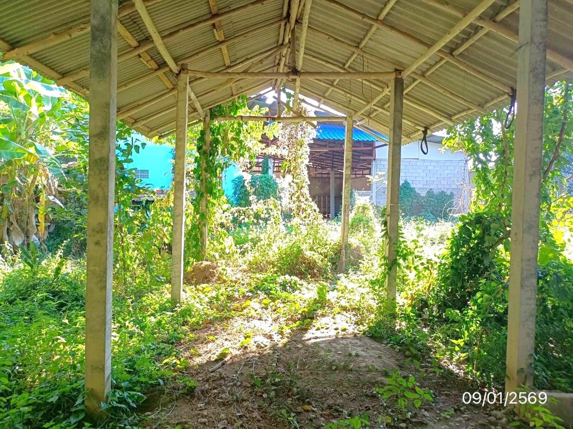 รูป บ้านเดี่ยว สำหรับขาย - เวียงชัย เวียงชัย เชียงราย - รูปที่ 42/48