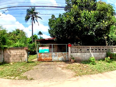 Houses for sale Hang Chat Lamphang : HOME for sale  Nong Lom Hang Chat Lamphang