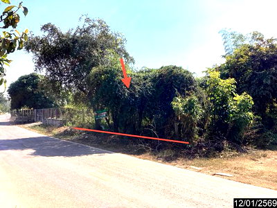 Land for sale : LAND 220 Sq.w. Nongkai for 1.5M