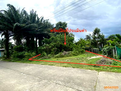 Land for sale Trang : LAND for sale  Bang Pao Kantrang Trang