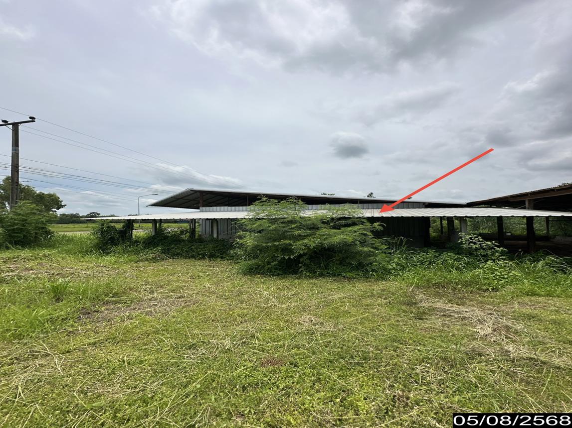 รูป โกดัง สำหรับขาย - นาแต้ เมืองอำนาจเจริญ อำนาจเจริญ - รูปที่ 42/48