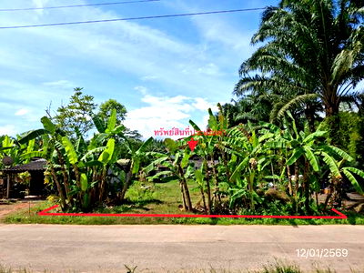 Land for sale Krabi : LAND for sale  Khao Phanom Khao Phanom Krabi