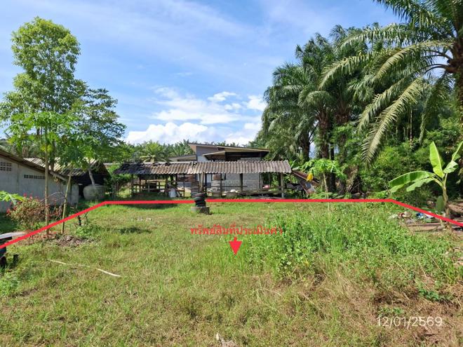 picture LAND for sale  Khao Phanom Khao Phanom Krabi - 4/22