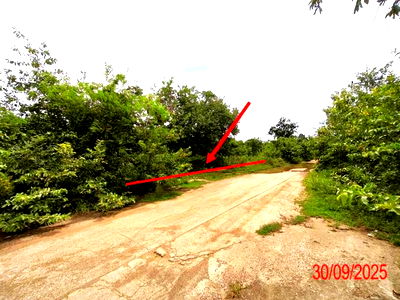 Land for sale Mae Tha Lamphang : LAND for sale  Nam Cho Mae Tha Lamphang