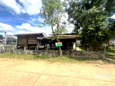 Houses for sale Rasi Salai Si Sa Ket : HOME for sale  Phai Rasi Salai Si Sa Ket