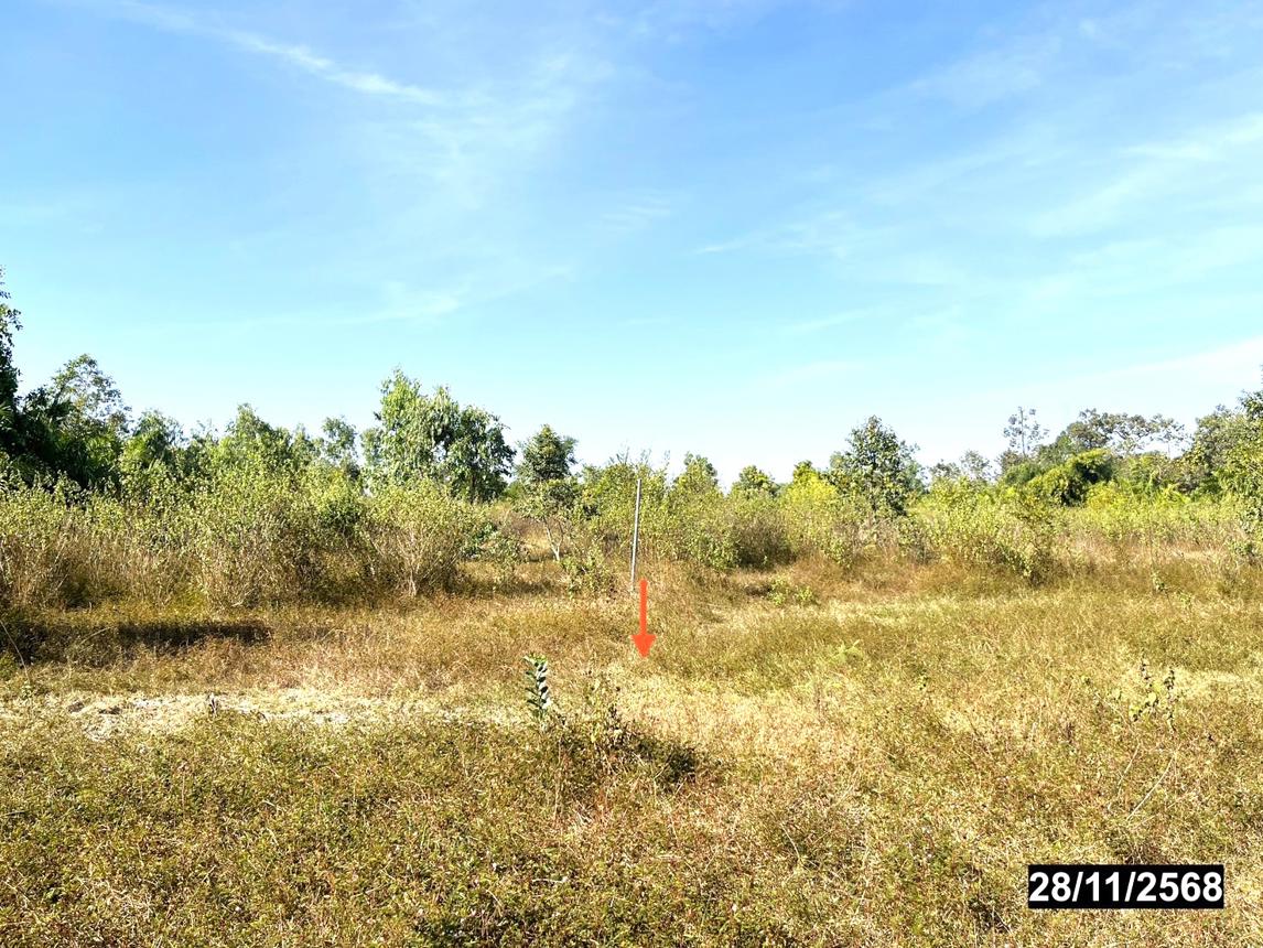 picture LAND for sale  Non Sombun null Nongkai - 11/16